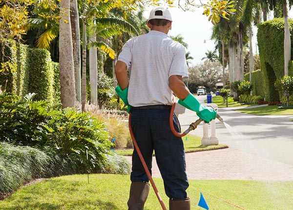 About Pittston PA Pest Control
